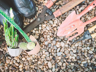 scissors grass and gardening equipment and small cactus on small stone background with copy space