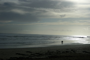 la Tranche sur mer