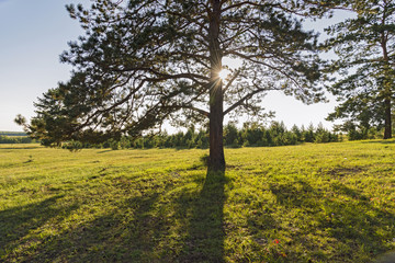 Obraz premium ÐÐ½Ð³Ð»Ð¸Ð¹ÑÐºÐ¸Ð¹ÐÐµÑÐµÐ²ÐµÑÑÐ¸ Ð²GoogleBingthe rays of t