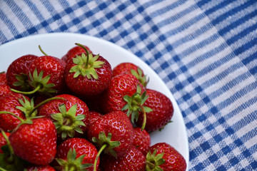 Strawberry berries country garden fresh organic harvest spring 4