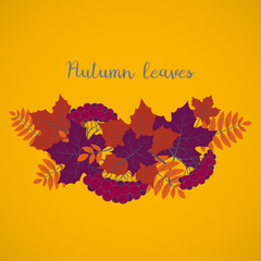 Autumn background, colorful floral frame with silhouettes of tree leaves on yellow background, design element for the fall season banner, poster, flyer or greeting card, vector illustration