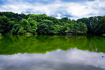Fototapeta na wymiar 風景green