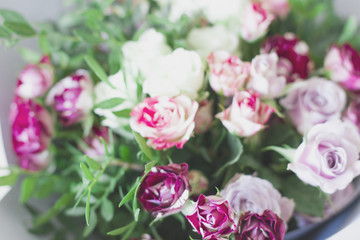 Obraz premium White and pink spray roses. Blurred focus