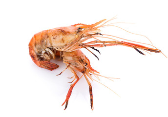 Grilled river shrimp isolated on white background, Prawns
