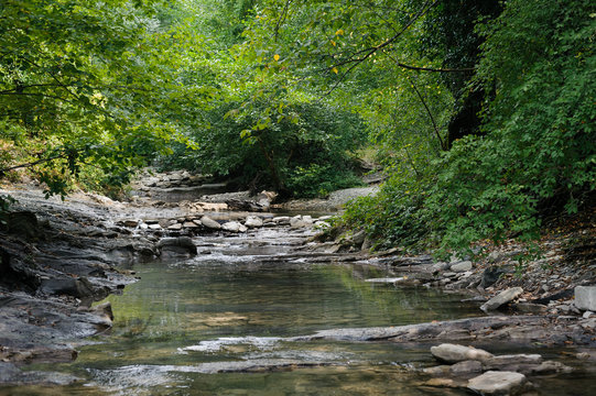 Small stream flows among stones in a mountain forest. Mountain river. Natural background