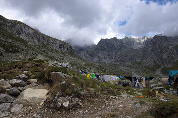 Cani al Rifugio Prudenzini
