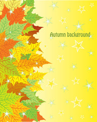 Autumn background with colorful maple leaves