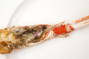 Prawn Head on White Plate