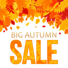 Fototapeta na wymiar Autumn Sale. Vector Background with Foliage. Vector Illustration Banner.