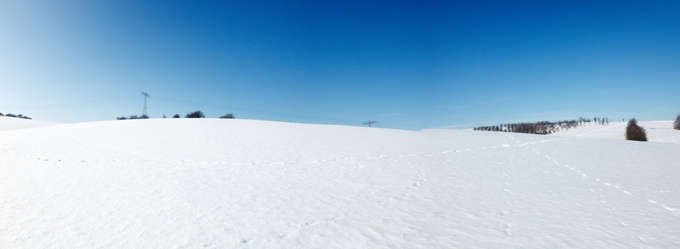snow field at sunny day