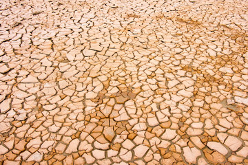 Naklejka premium Dry soil in cracks. Concept of climate change
