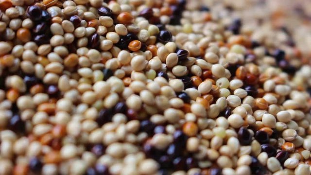 seeds background, rotation shot
