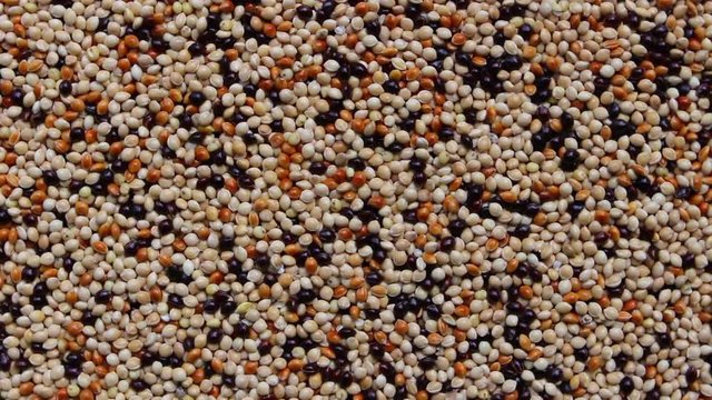 seeds background, rotation shot