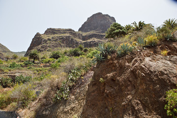 tropic mountaines rocks