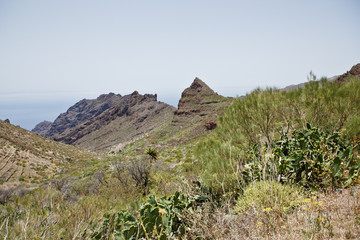 tropic mountaines rocks