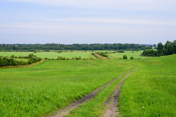 Fototapeta na wymiar Beautiful landscape. Green field, a typical Russian nature, Leningrad oblast, Russia