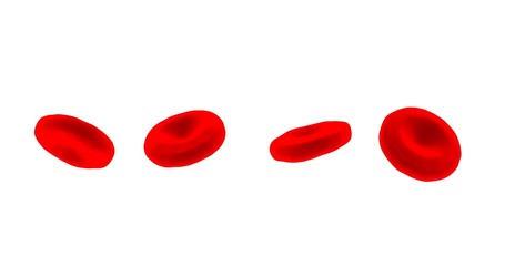 Red blood cells isolated on white background.
