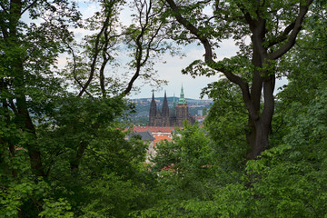 Obraz premium View of the castles of Prague from the hill through the forest