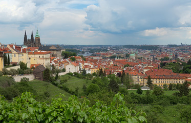 Fototapeta na wymiar View of the castles of Prague from the hill