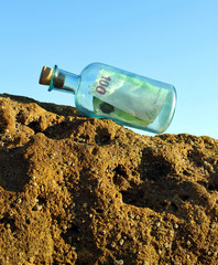 Fototapeta na wymiar Bottle with one hundred euros on a rock