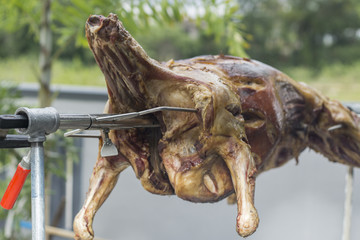 lamb grilling/roasted for sale or fiest