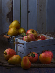 Juicy fruits in old white vintage wooden box. Red apples and yellow pears. Low key moon light 04