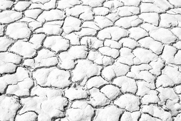 Black and white image of crack soil texture background