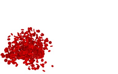 Red blood cells isolated on white background.