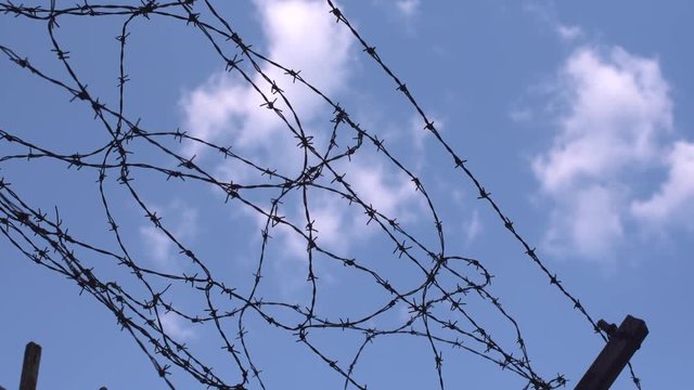 barbed wire