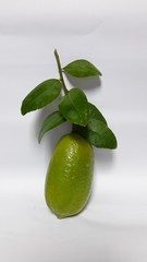 fresh giant green lemon with isolated background
