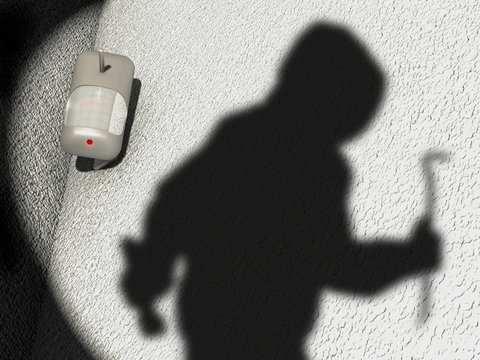 Motion Detector and shadow of a robber in a garden scenario, 3D Illustration