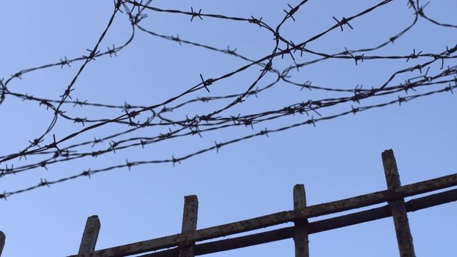 barbed wire