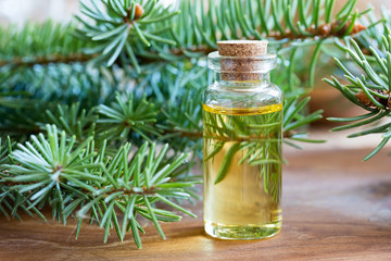 A bottle of spruce essential oil with fresh spruce twigs