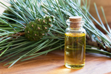 A bottle of pine essential oil with pine branches