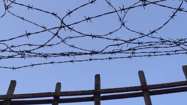 barbed wire