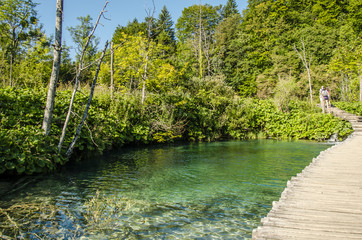 wooden path and lakes at Plitvice , unesco heritage site, croatia.