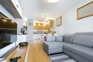 Modern interior design  living room