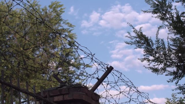 barbed wire