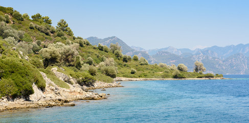 Wild rocks beach