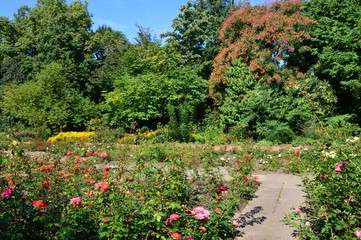 botanischer  Garten, Krefeld