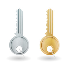 Golden And Silver Key Icon