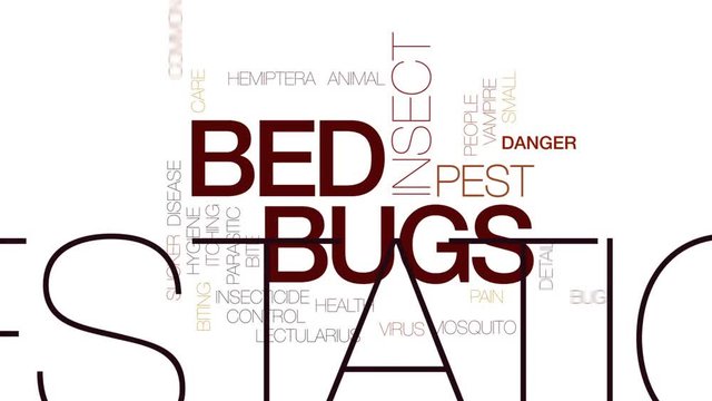 Bed bugs animated word cloud, text design animation. Kinetic typography.