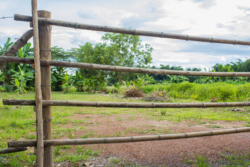 Long bamboo fence background with nature tree and sky.