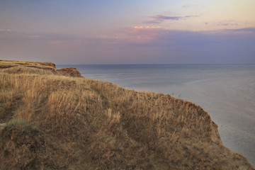 Dry grass on a cliff above the sea at the beautiful pink sunrise