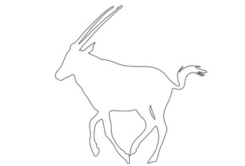 Outline of an african oryx - digitally handdrawn illustration on white background