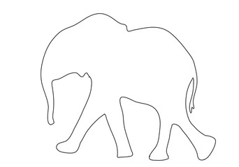 Outline of an african Elephant - digitally handdrawn illustration on white background