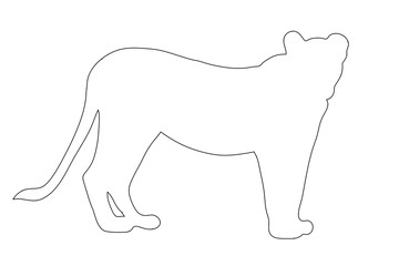Outline of an african female Lion  - digitally handdrawn illustration on white background