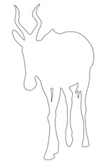 Outline of an african Red Hartebeest - digitally handdrawn illustration on white background