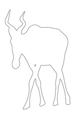 Outline of an african Red Hartebeest - digitally handdrawn illustration on white background