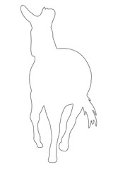Outline of an african Zebra - digitally handdrawn illustration on white background